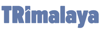 My Website